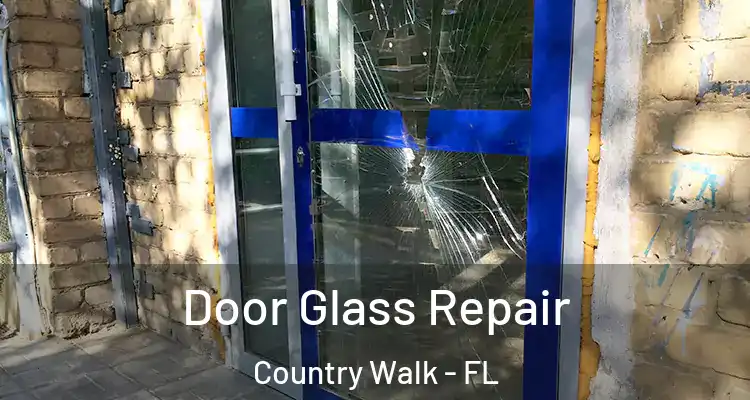 Door Glass Repair Country Walk - FL