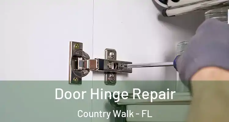 Door Hinge Repair Country Walk - FL