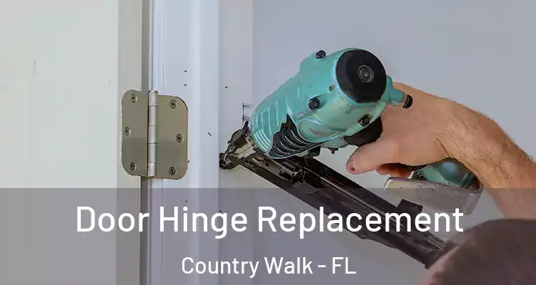 Door Hinge Replacement Country Walk - FL