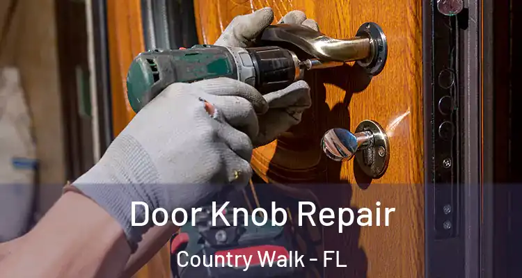 Door Knob Repair Country Walk - FL