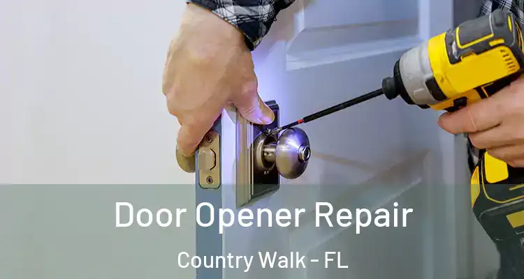 Door Opener Repair Country Walk - FL
