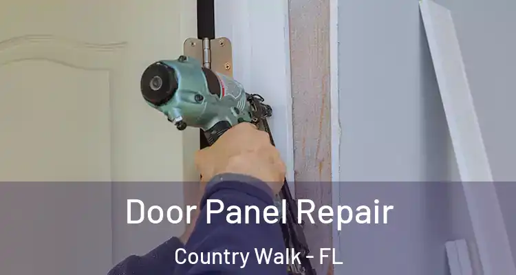 Door Panel Repair Country Walk - FL