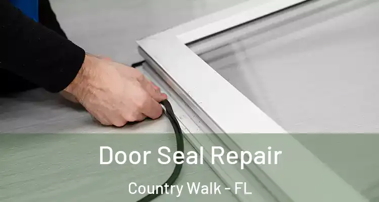 Door Seal Repair Country Walk - FL