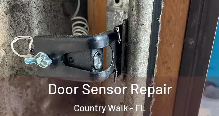Door Sensor Repair Country Walk - FL