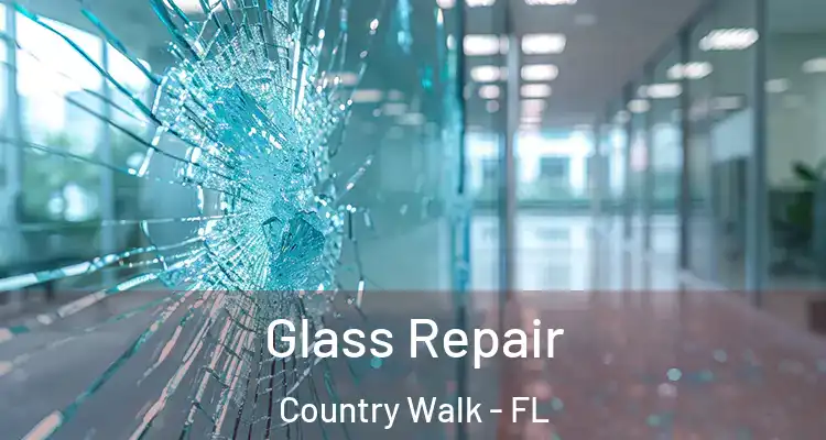 Glass Repair Country Walk - FL