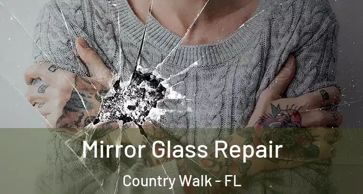 Mirror Glass Repair Country Walk - FL