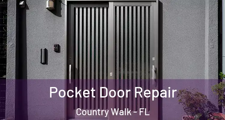 Pocket Door Repair Country Walk - FL