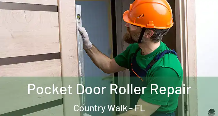 Pocket Door Roller Repair Country Walk - FL