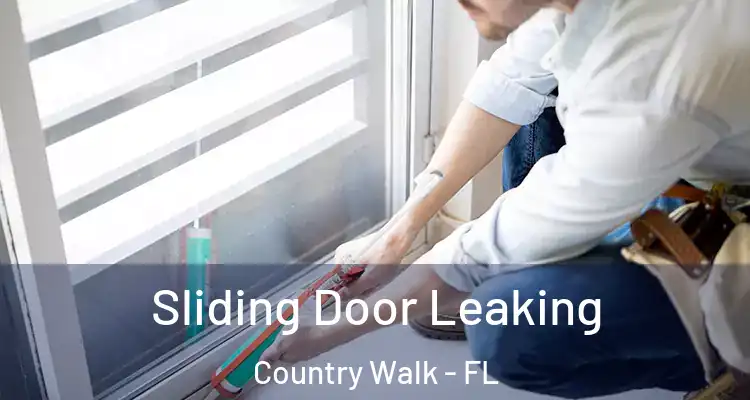 Sliding Door Leaking Country Walk - FL