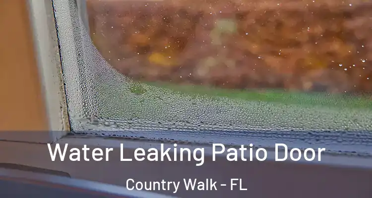 Water Leaking Patio Door Country Walk - FL